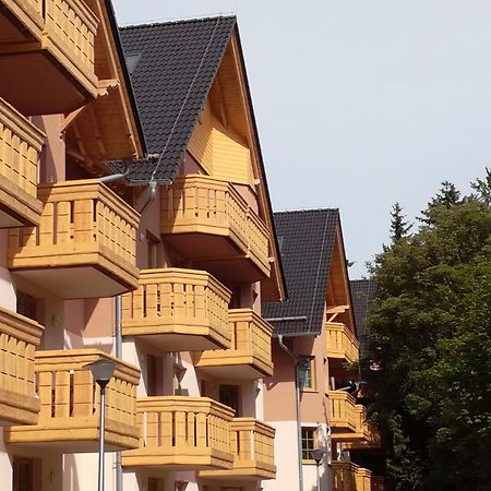 Apartament Podgorze 21 Apartman Szklarska Poręba Kültér fotó